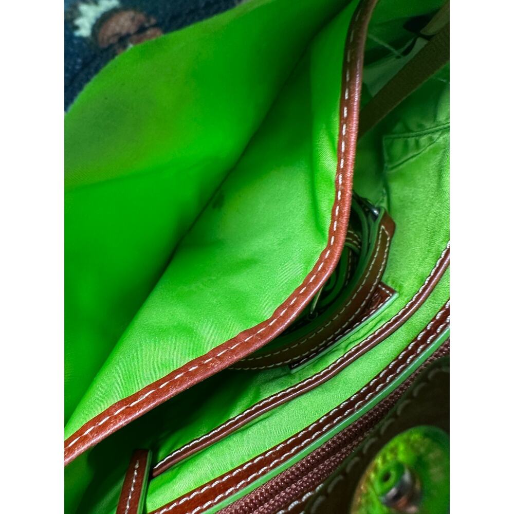 Disney Princess Tiana Tote Crossbody by Dooney & Bourke GUC - Picture 12 of 12